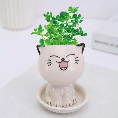 New Style Ceramic Animal Cat Flower Planter Pot Cartoon Cute Cat Mini Planters Succulents Plants Bonsai Pots Home Decorations