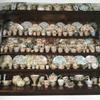 [USED] Chintz Ceramics British Design Western Books Rose Chintz Tableware Plates Cups