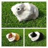 Exquisite And Soft Animal Simulation Model Perfect Gift And Decoration