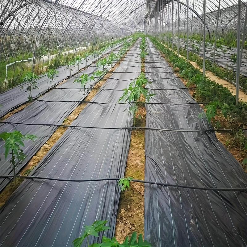 Schwarzes Hochleistungs-Gartengewebe - Unkrautvlies und Bodendecker für Blumen, Gemüse, Hochbeete, Rasen und Gärten