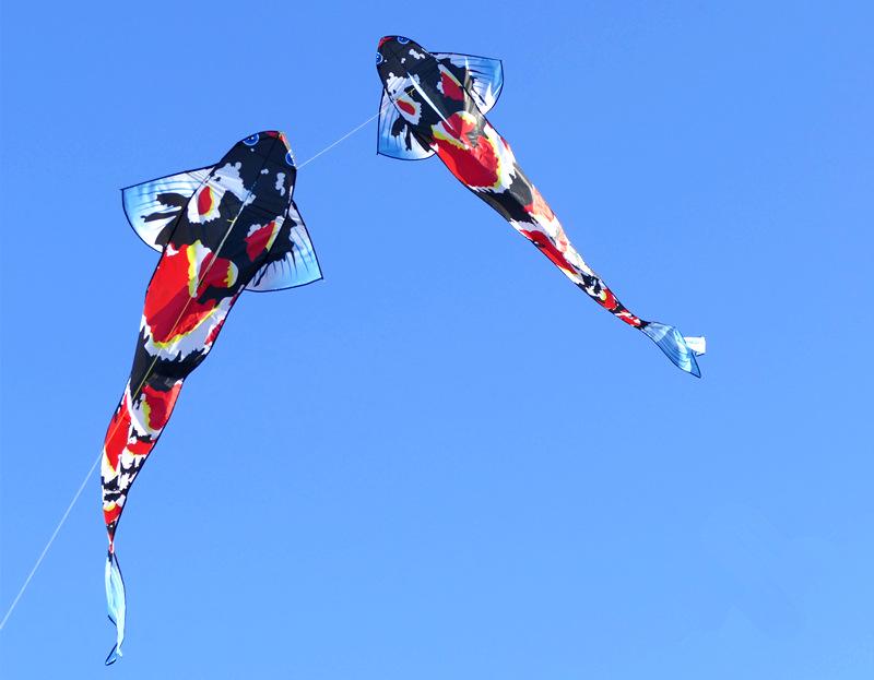 Large Chinese Style 3-Meter Koi Carp Kite with Long Tail - Easy to Fly in Light Breeze