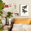 Vintage Butterflies poster Vintage Dead Leaf Butterfly Specimen Minimalist Wall  Print Canvas  Posters for Home Decor