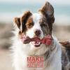 Indestructible Dog Chew Toy for Aggressive Chewers - Durable, Non-Toxic Natural Rubber Bone Shape for Teeth Cleaning