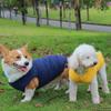 Pet It Dog Clothes Autumn and Winter Clothes Teddy Corgi Thickened Warm Cotton Clothes Golden Retriever Edge Herding Medium and Large Dogs Universal