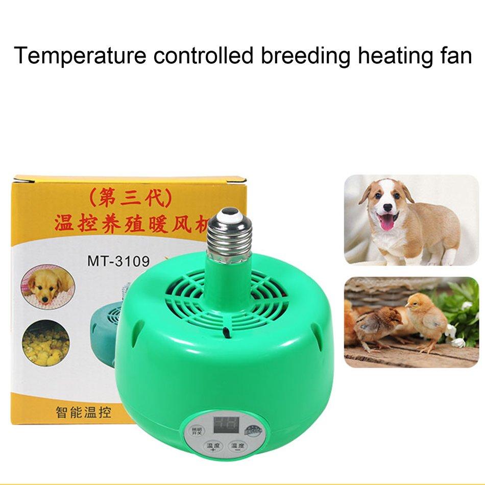 What Temperature Should A Puppy Incubator Be