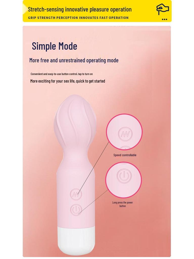 Rechargeable Mini Vibrator: Couples Flirting, Rotating Orgasm Stimulator, Female AV Masturbator