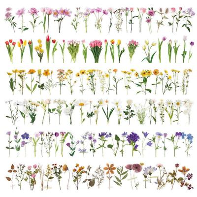 240pcs Pet Tulip Flower Stickers Waterproof Transparent Self-adhesive Floral Stickers