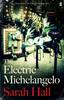 The Electric Michelangelo by Sarah Author Hall Paperback Book 9780571315611