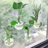 1/2/3/4/6/8Pcs Window Propagation Station Plant Propagation Glass Bulb with Suction Cup Transparent Planter Propagation Planter Terrarium Vase
