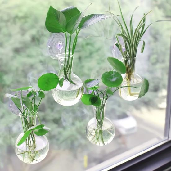 1/2/3/4/6/8Pcs Window Propagation Station Plant Propagation Glass Bulb with Suction Cup Transparent Planter Propagation Planter Terrarium Vase