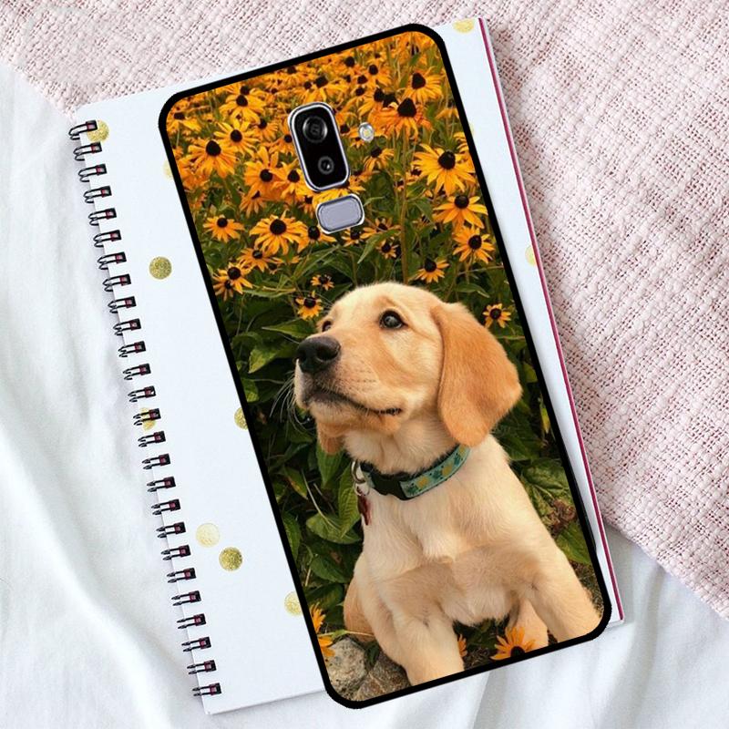 

Cocker Spaniel Dog Case For Samsung Galaxy M06 M16 M53 M13 M31 M11 M35 M55 M15 M56 M36 M12 M32 M52 M14 M34 M54 Samsung M54