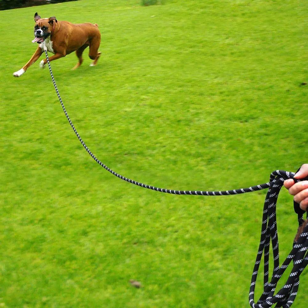 Strong Dog Leash Reflective Cat Traction Rope Pet Equipment Pet Lead Leash  Outdoor