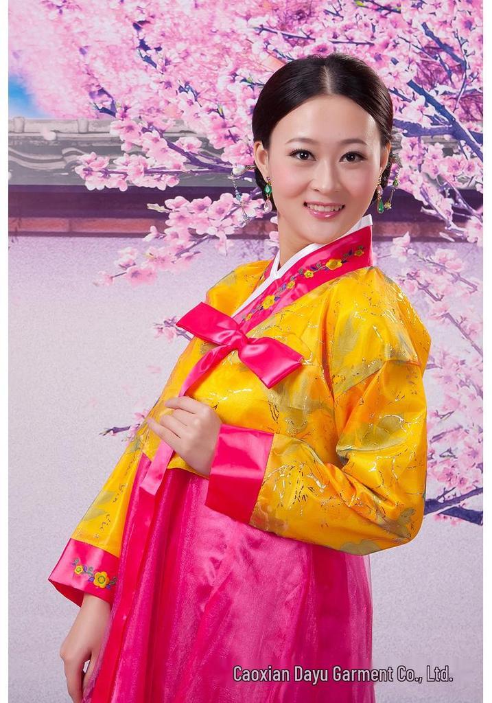 Traditionelles Koreanisches Tanz-Hanbok für Damen - Ethnische Tracht im Dae Jang Geum Stil