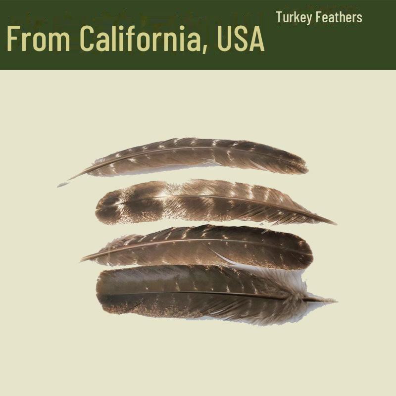 Bețișoare de Aromaterapie cu Salvia Albă și Salvia Albastră cu Cedru Californian și Lemn Sfânt pentru Meditație și Demagnetizarea Cristalelor