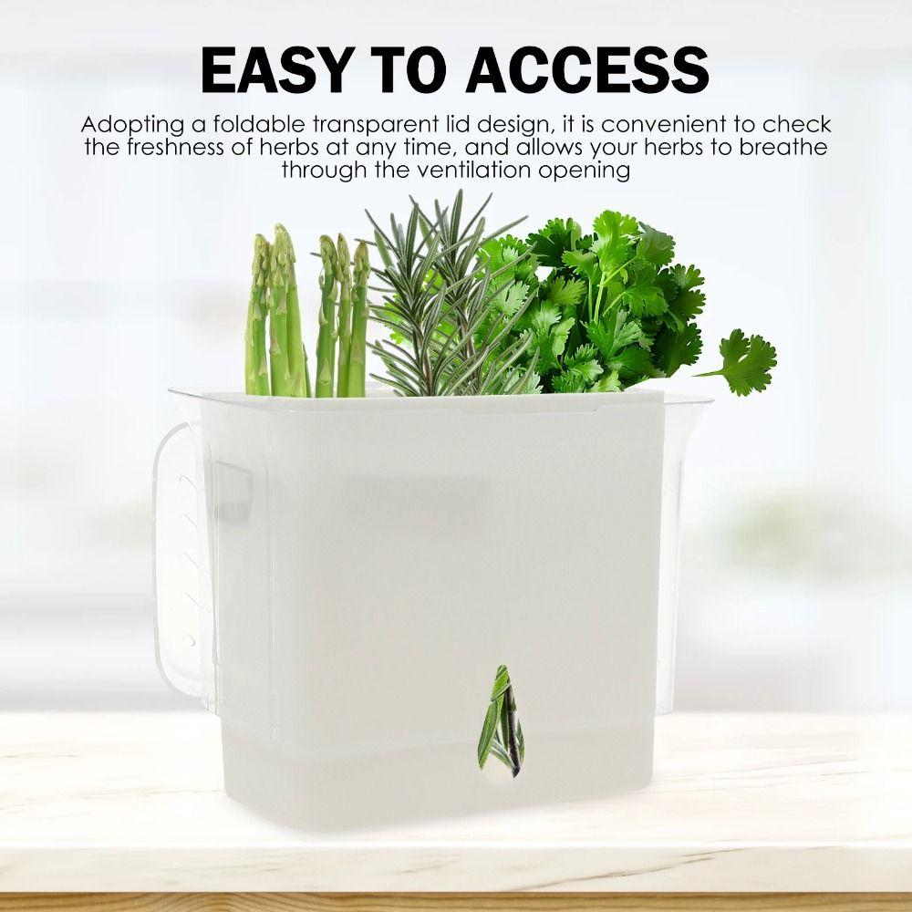 Airtight Vegetable Keeper Plastic Herb Lettuce Keeper Multipurpose Herb Preserver Thyme