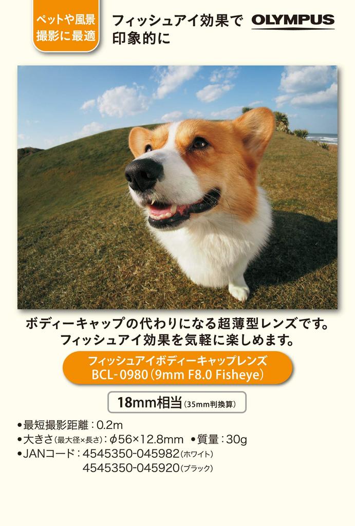 OM Mirrorless SLR 9mm F8 Fisheye Body Cap Lens White WHT SYSTEM/OLYMPUS BCL-0980