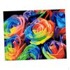 Frameless By Numbers Canvas Painting Art Picture Colored