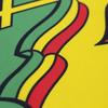 90*150cm Ethiopia Flag with Lion Ethiopian Lion of Judah Flags Polyester with Brass Grommets