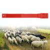 10Pcs Goat Collar Sheep Identification Bands Livestock  ing   Farming Equipment