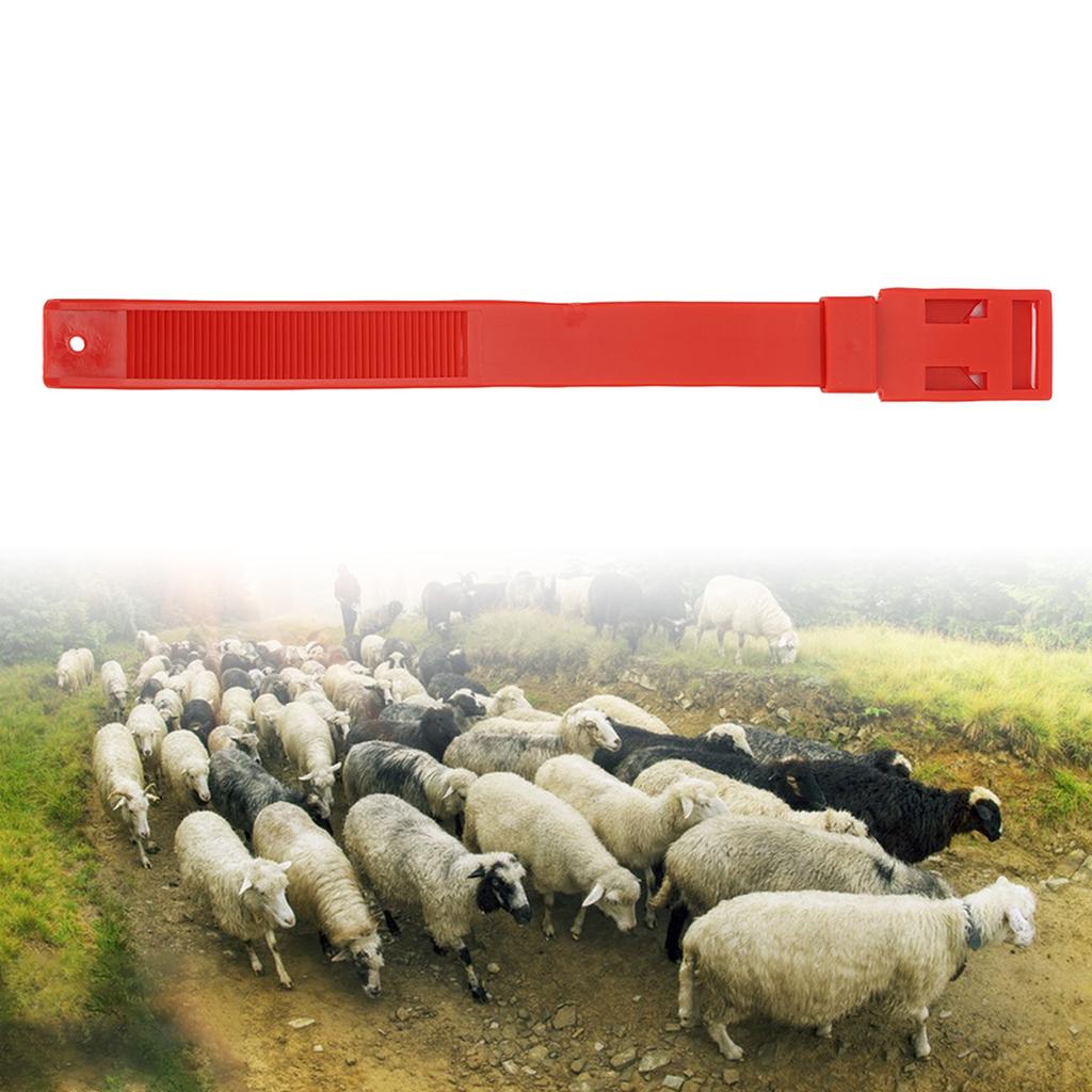 10Pcs Goat Collar Sheep Identification Bands Livestock ing Farming Equipment