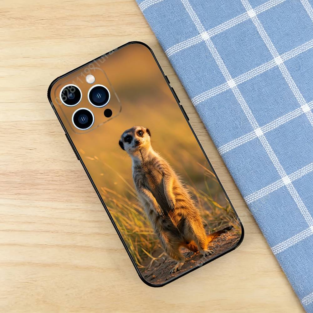 Funny Standing Meerkats Phone Case for iPhone 17 16 16E 15 14 Pro Plus Air 13 12 11 Max Mini X XR XS TPU Bumper
