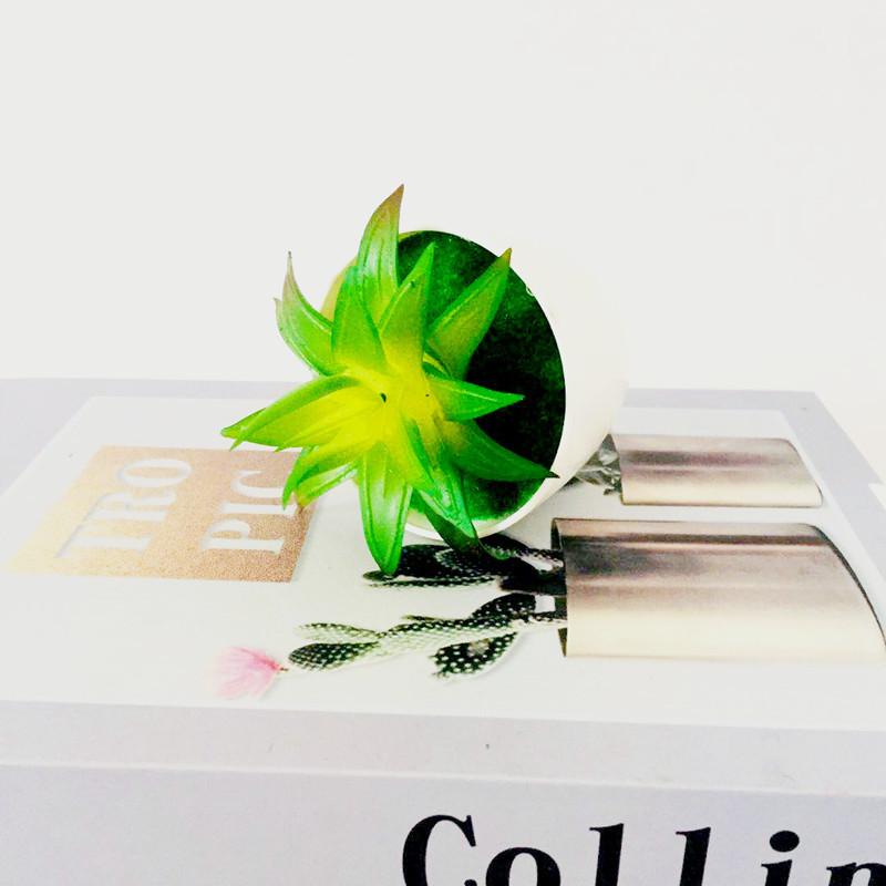 Succulent Faux Pvc Plant With Creative Design For Living Room And Projects Diy