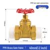 CHENXIANG PPR Double Union Copper Gate Valve