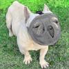 Short Snout Dog Muzzle Bulldog Muzzle,stop Dog For Biting