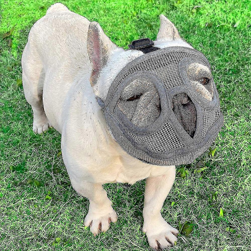 Short Snout Dog Muzzle Bulldog Muzzle,stop Dog For Biting