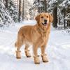 4 PCS/SET Plush Lined Dog Cotton Shoes Thickened Anti-Slip Dog Shoes Winter Dog Snow Boots  Walking