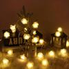 14 LED Rose Home Decorative String Lights for Decoration for Home Warm White 3 Meter Decorative Fairy Lights for Christmas, Wedding,