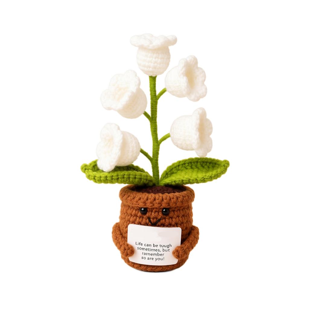 of the Night Light – Potted Plant Decoration with Encouragement Card