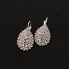 Free Gift Box Luxury Women Water Drop Pendant Earrings Elegant / Wind Claw Fine Earrings 2020 New / Zircon Earrings Wholesale