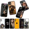 Handyhülle Haustier Hund Niedlicher Dackel Hülle für OPPO A54 A40 A60 A80 A18 A16 A17 A38 A78 A79 A57 A55 A96 A15 A12 Case