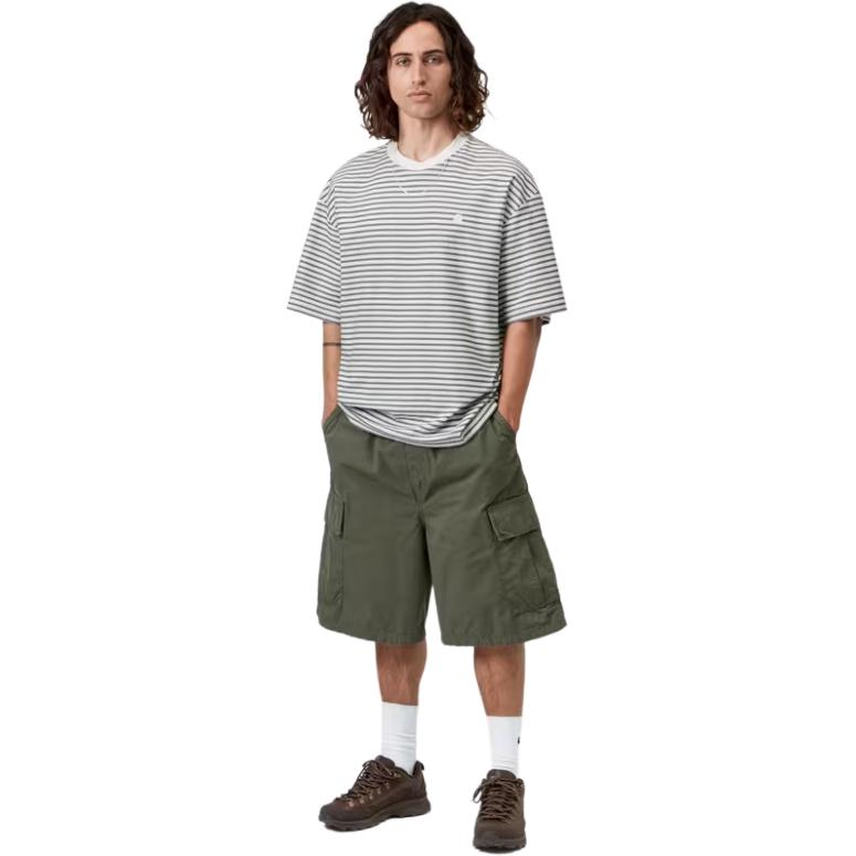 Carhartt WIP SS26 S/S Dupree T-Shirt Loose Fit C Logo Embroidered Striped Tee Unisex Tops I036854-3SF-XX