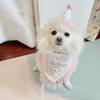 INS Pet Supplies Dog Birthday Saliva Towel Party Pet Triangle Scarf Cat Cat Dog Cute Lace Lace Lace Bib Pet Accessories
