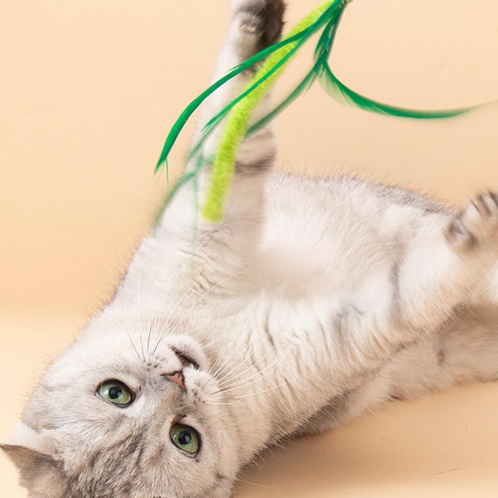 Cat Teasing Toy Interactive Tail Grass Dog Sage Feather Long Pole Cat Teasing Stick Bite Resistant Cat Sound Toy Pet Supplies