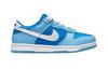 Nike Dunk Low Retro QS PS 'Argon' 2022 DV2635-400