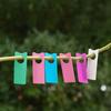 Writeable Plastic Plant Tags for Grapes, Melons, Watermelons, Roses - Thickened Hanging Buckle Design