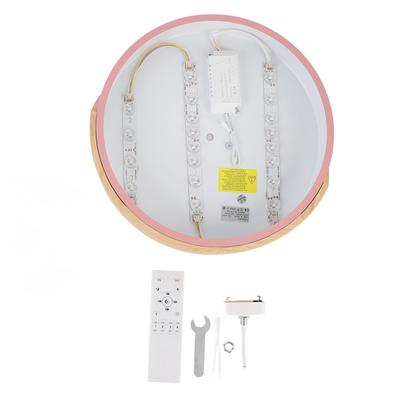 LED Ceiling Light Modern Round Dimming Indoor Flush Mount Lamp with Remote Controller for Bedroom