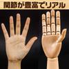 ZERONOWA Drawing Doll Wooden Hand Model Wood Doll with Movable Hands (Doll/Both Hands)