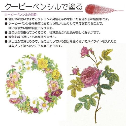 Sakura Crepas Colored Pencil Coupy 30 Colors Barva na barvě FY30NU