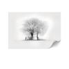 Fototapeta Flizelinowa Standard - 450 X 315 Cm - Styl Minimalistyczny - Natura