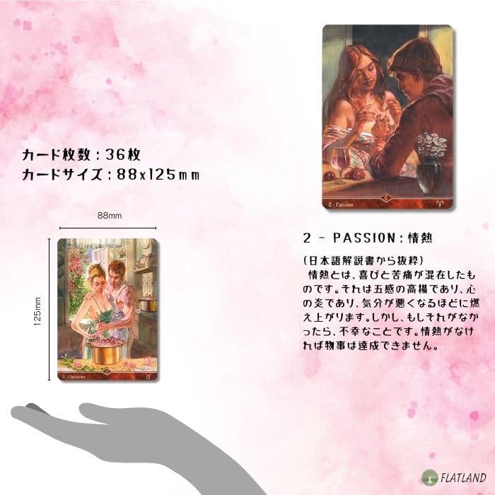 Instruction Manual Sexual Magic Oracle Authentic [Japanese Included] Cards,