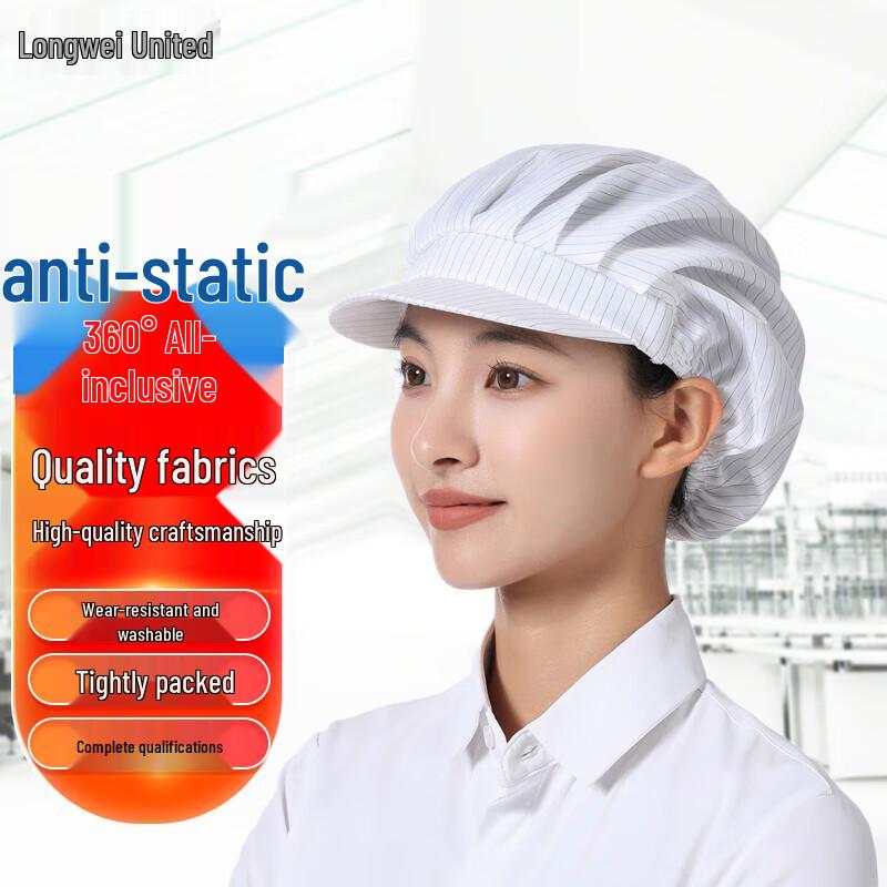 Cleanroom Anti-Static & Dust-Proof Protective Gear