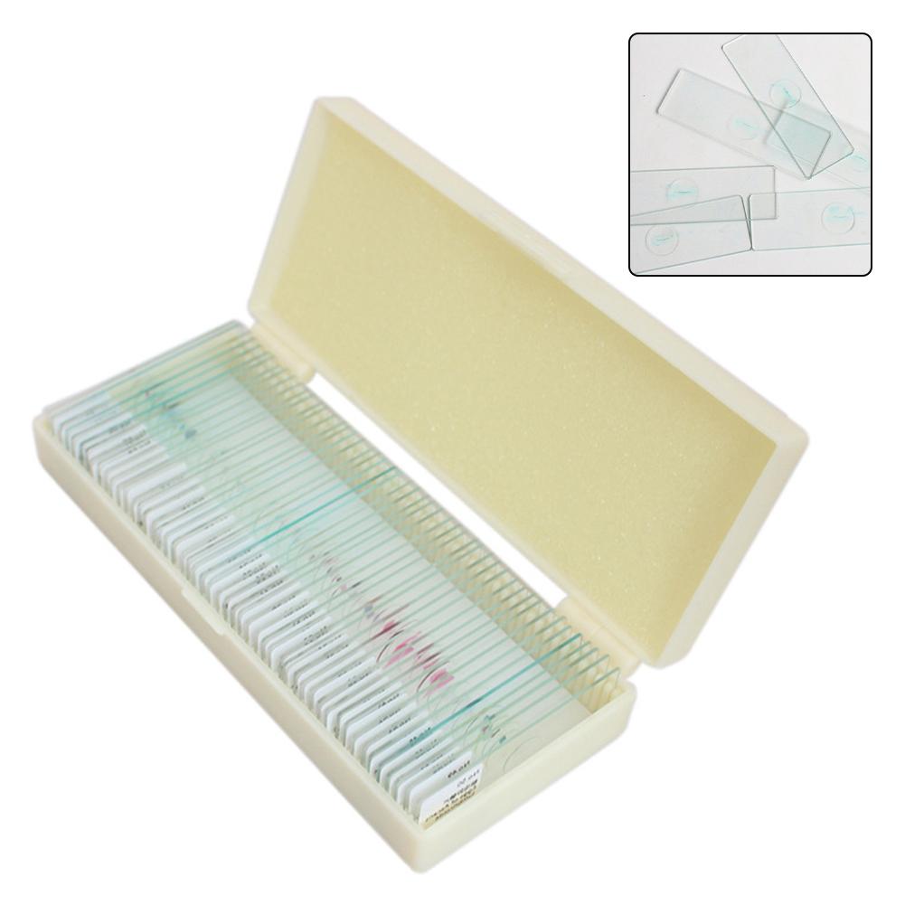 Microscope Specimen Slides for Kids with Educational Biology Focus