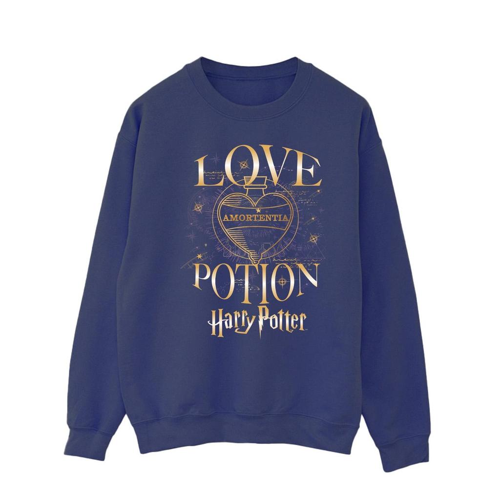 HARRY POTTER Mens Love Potion Sweatshirt