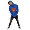 DC Comics Mens Superman Logo Hoodie