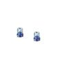 Morellato Colori Stainless Steel Earrings SAVY17 For Women