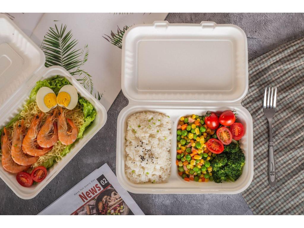 Biodegradable Eco-friendly Disposable Paper Lunch Box with Double Compartment, 9x6 Inch